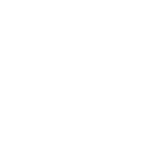 call icon